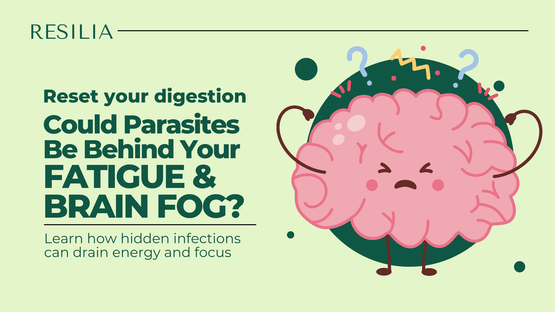 Could Parasites Be Behind My Fatigue and Brain Fog?