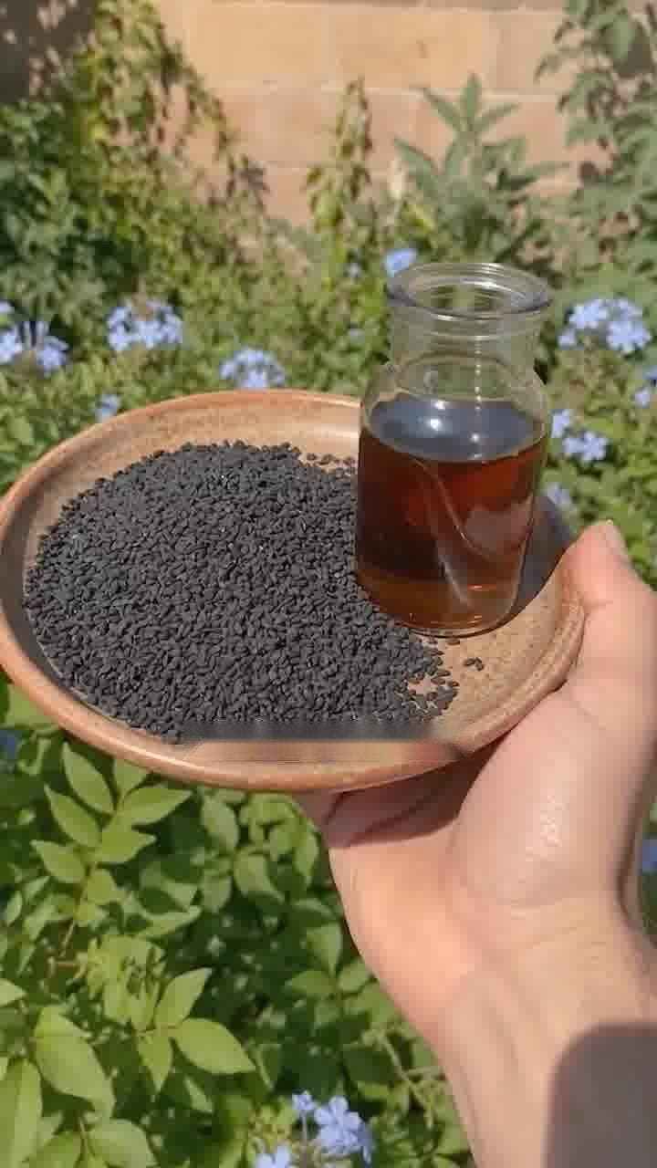 A bowl of black seeds beside a jar of black seed oil